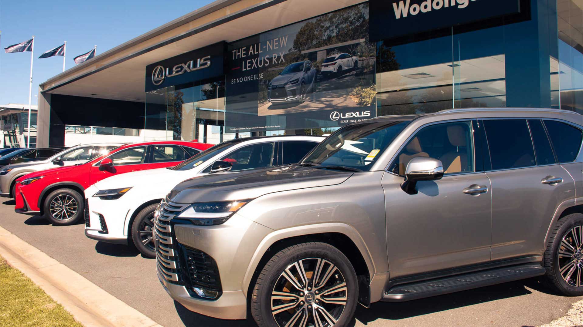 A row of Lexus vehicles at the front of Lexus of Wodonga