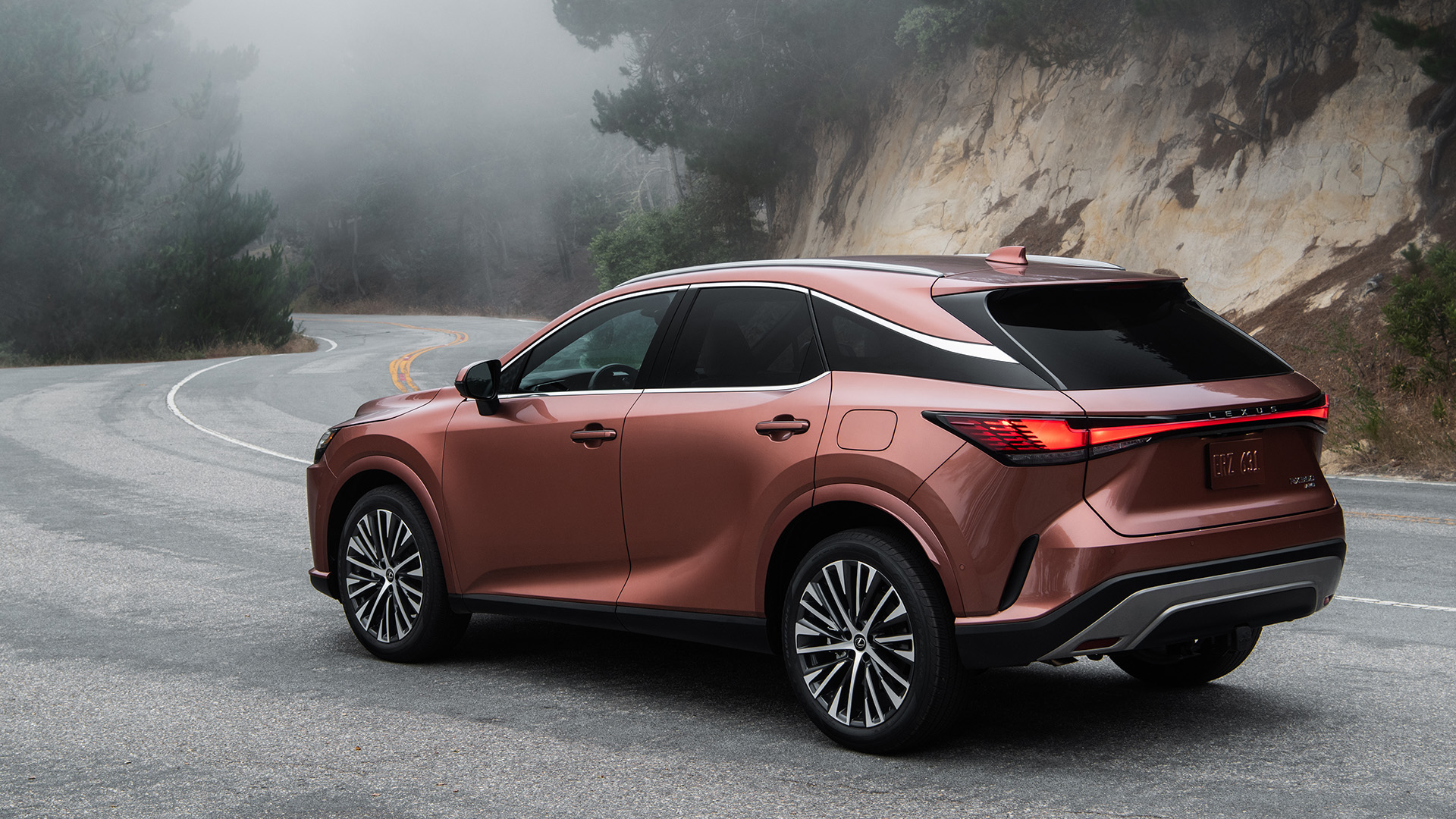 The rear of a 2023 Copper coloured RX.