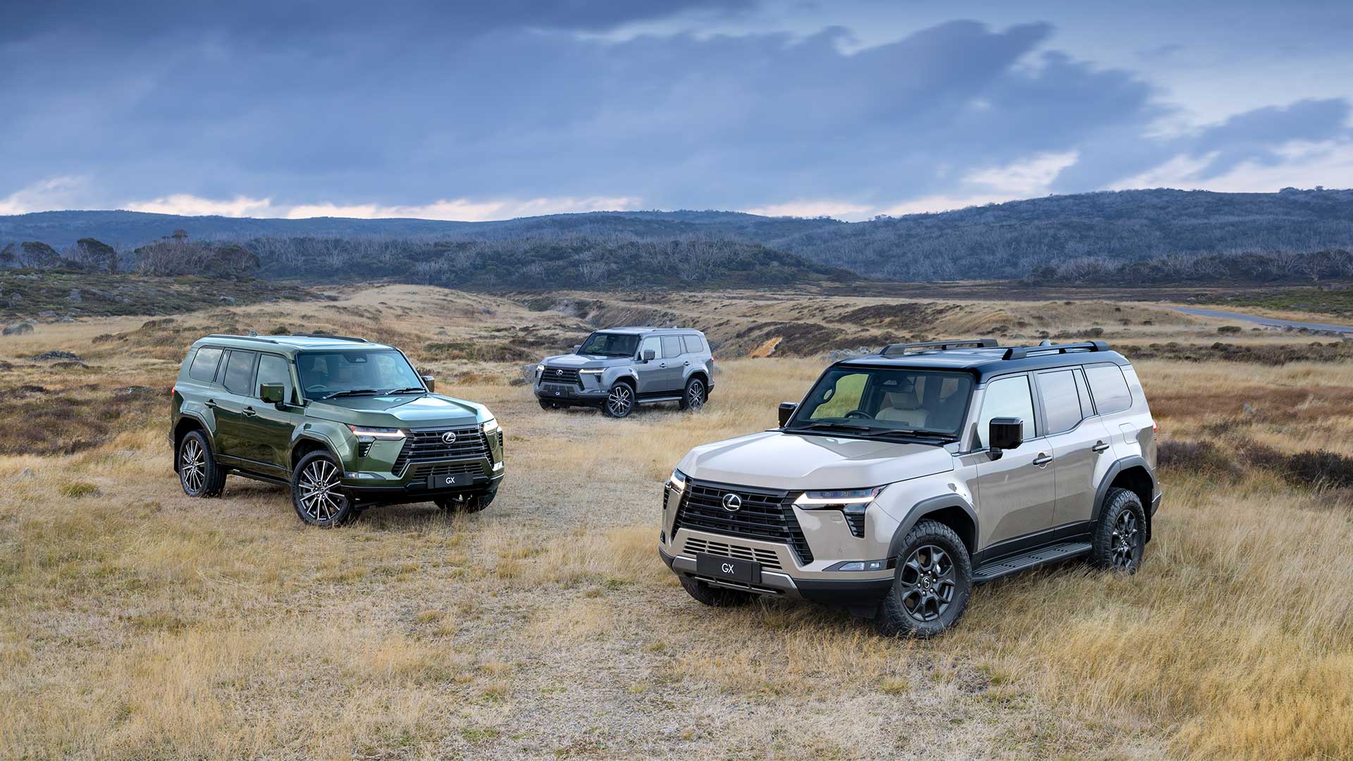 Three Lexus GX vehicles in Green, Grey and Earth colours, on grassy ground against mountainous background