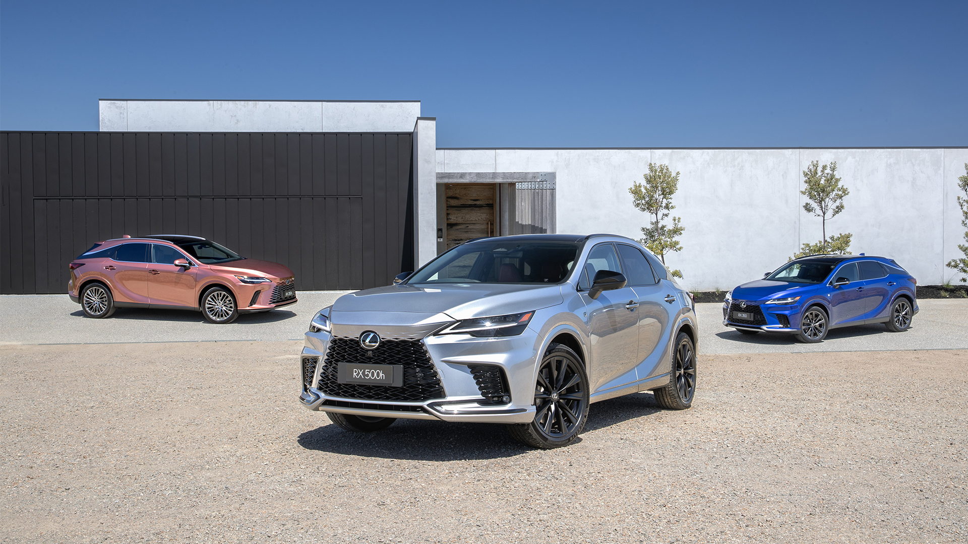 Lexus RX range
